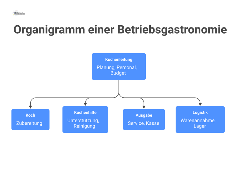 Organigramm einer Betriebsgastronomie, das die Küchenleitung an der Spitze und die darunter gegliederten Bereiche Koch, Küchenhilfe, Ausgabe und Logistik zeigt. 