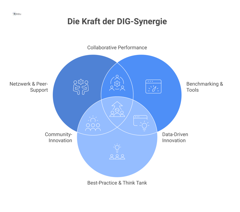 Diagramm des Deutschen Instituts für Gemeinschaftsgastronomie (DIG) als zentraler Knotenpunkt mit seinen drei Säulen: Netzwerk, Benchmarking und Best-Practice. 